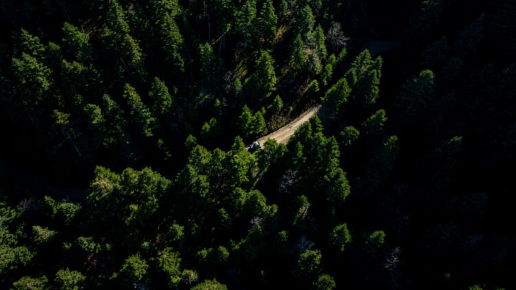Αποστολή στην Ευρυτανία: Bόλτα με buggy στα ελατοδάση του Τυμφρηστού
