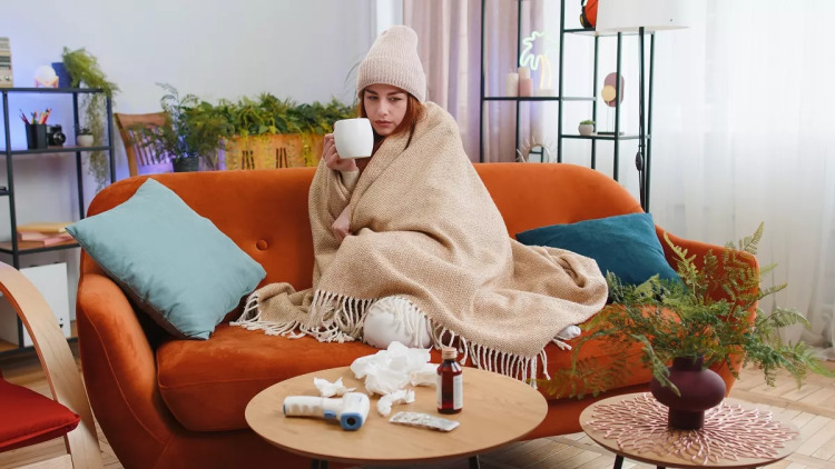 Ζεστό τσάι: Ποια βότανα ανακουφίζουν από κρυολόγημα και γρίπη