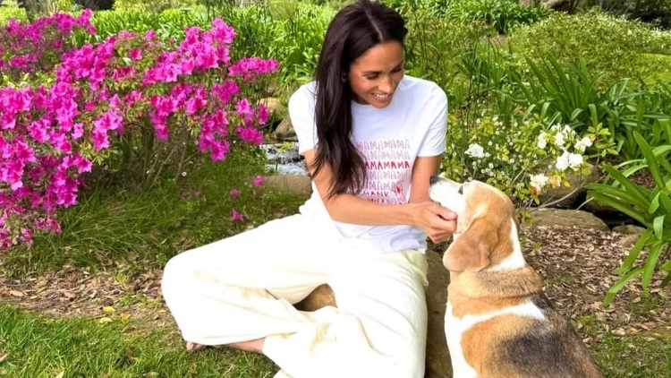 Meghan Markle: Διέρρευσαν κατά λάθος απόρρητες πληροφορίες της επιχείρησής της
