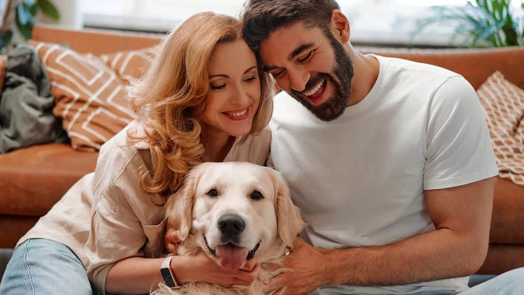 Γιατί όλο και περισσότεροι νέοι προτιμούν να αποκτήσουν σκύλο αντί να κάνουν παιδιά;