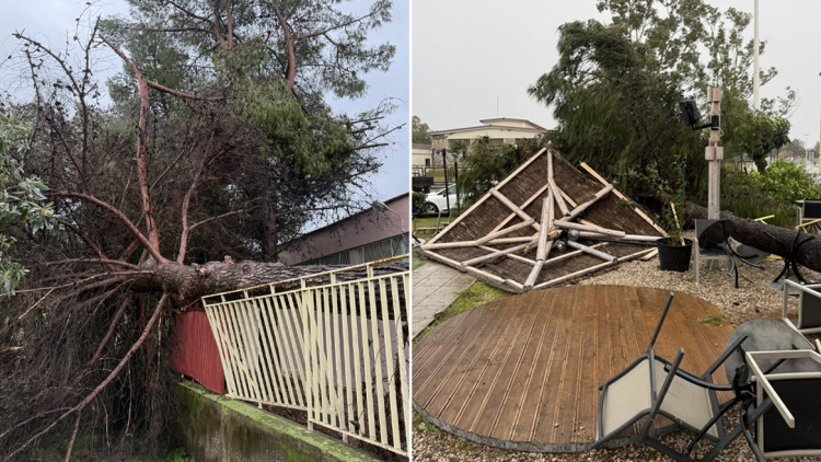 Ανεμοστρόβιλος χτύπησε το Μεσολόγγι: Ξερίζωσε δέντρα και ξήλωσε μεταλλικές κατασκευές, δείτε βίντεο και φωτογραφίες