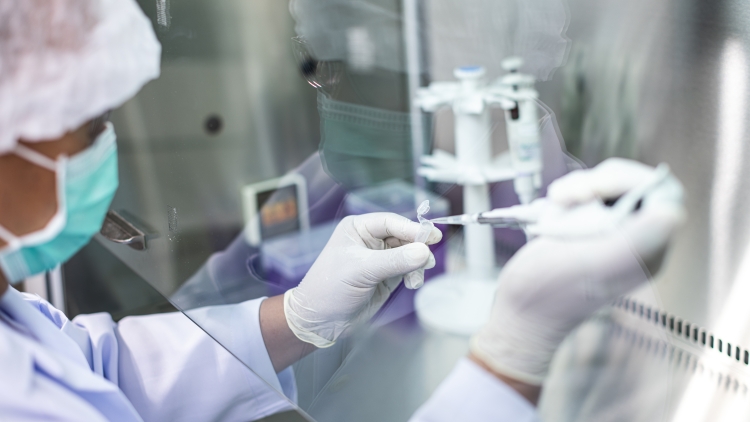 Επτά προκλήσεις που θα κυριαρχήσουν στην παγκόσμια υγεία το 2026
