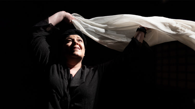 “Η Κυρά της Ρω”στο θέατρο ΦΙΛΙΠ