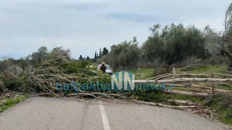 H κακοκαιρία σαρώνει τη Δυτική Ελλάδα: Ζημιές σε πολλές περιοχές, περιορισμοί στην κυκλοφορία στη γέφυρα Ρίου - Αντιρρίου
