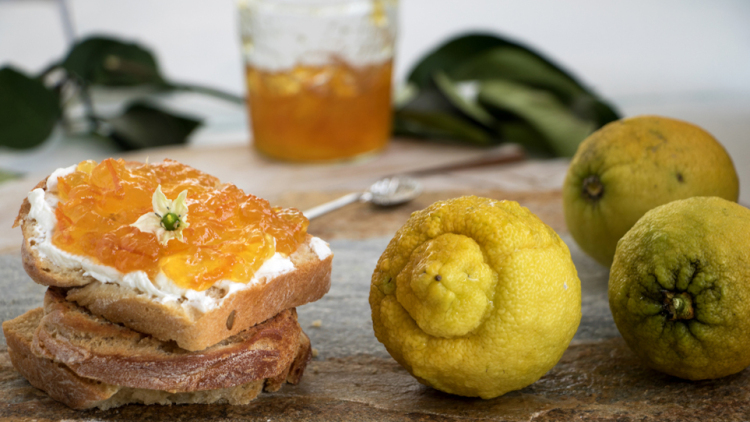 Περγαμόντο: Τι είναι, γιατί μυρίζει τόσο έντονα και πώς το χρησιμοποιούμε στην κουζίνα