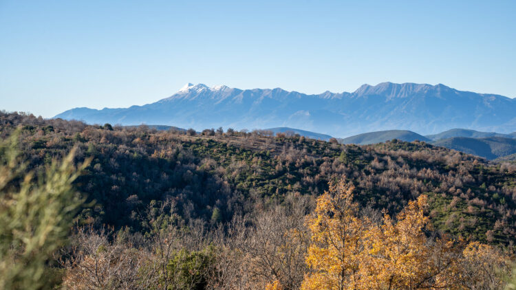 Απολαμβάνοντας την ομορφιά του Πάρνωνα: Kάναμε μια διαδρομή από τη Βαμβακού στον Άγιο Πέτρο