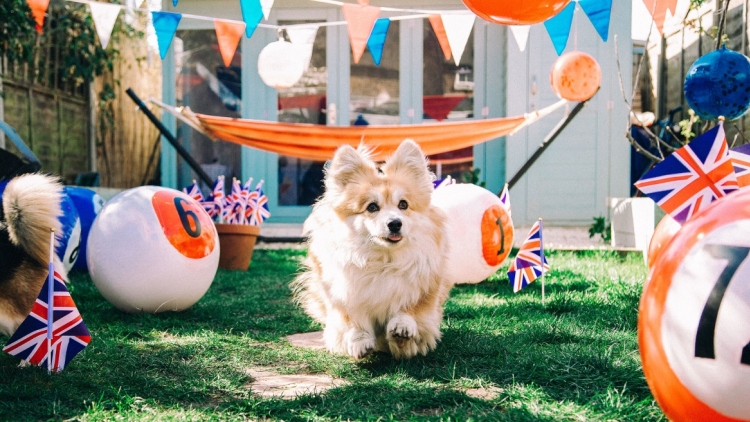 Άρθρο γνώμης στον Indepedent: Η Βρετανία έχει αντικαταστήσει τα παιδιά, με... σκύλους και αυτό δεν είναι υγιές