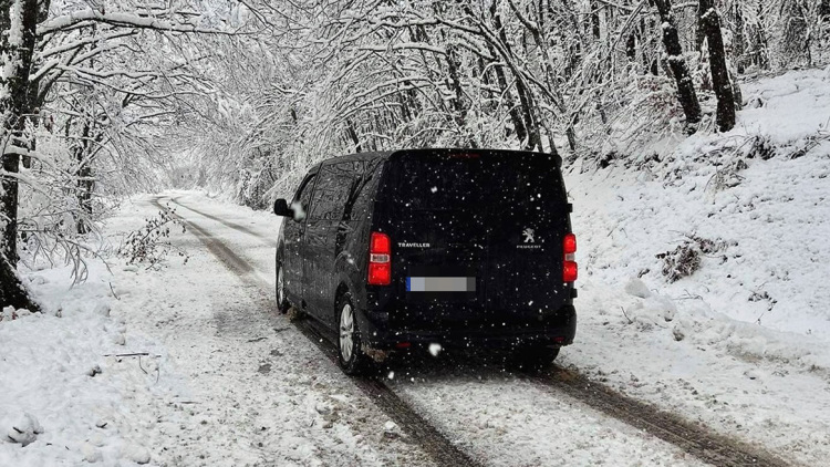 Από την Έδεσσα και χωρίς επαγγελματία οδηγό νοίκιασαν το μοιραίο βαν οι οπαδοί του ΠΑΟΚ 