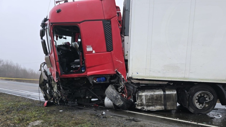 Σοκαρισμένος ο Πολωνός οδηγός της νταλίκας που χτύπησε στο βανάκι των οπαδών του ΠΑΟΚ: «34 χρόνια στο τιμόνι, δεν έχω ξαναδεί κάτι τέτοιο»
