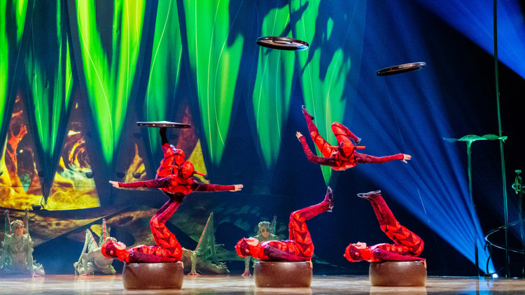 Cirque du Soleil, στα παρασκήνια του «OVO» 