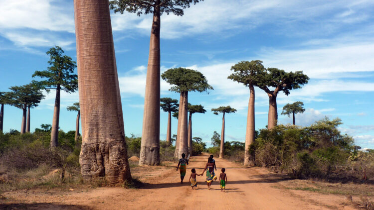 Μαδαγασκάρη, το πανέμορφο νησί των λεμούριων και των μπαομπάμπ
