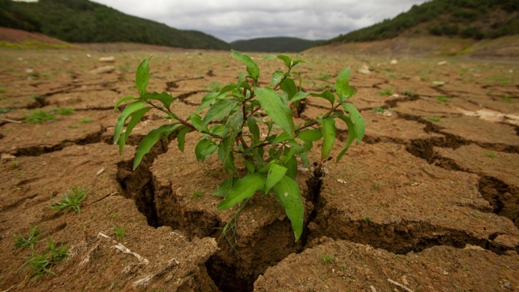 Τουρκία: Κίνδυνος επισιτιστικής κρίσης λόγω ξηρασίας