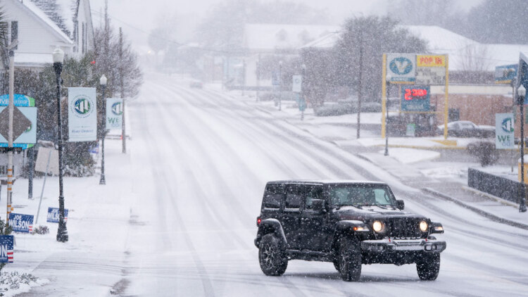 Χιονοθύελλα στις ΗΠΑ προκαλεί χάος στις συγκοινωνίες, ιγκουάνα πέφτουν από τα δέντρα λόγω κρύου