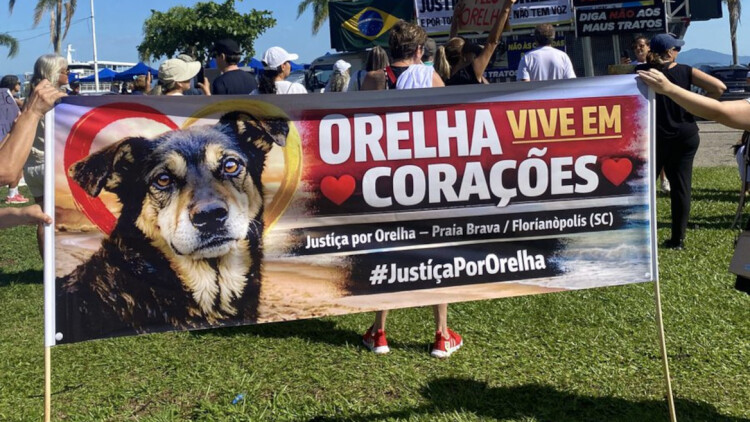 Διαδηλώσεις στη Βραζιλία μετά την κακοποίηση μέχρι θανάτου αδέσποτου σκύλου, δείτε βίντεο 
