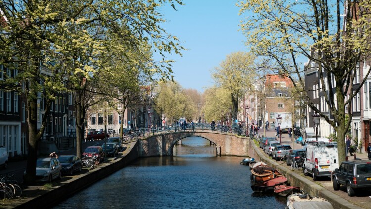 Το Άμστερνταμ εγκαθιστά εκατοντάδες μικροσκοπικές σκάλες στα κανάλια του για να προστατεύσει τα ζώα