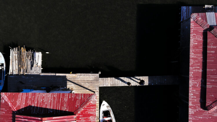 Λιμνοθάλασσα Μεσολογγίου: Ταξίδι στον κόσμο των πελάδων
