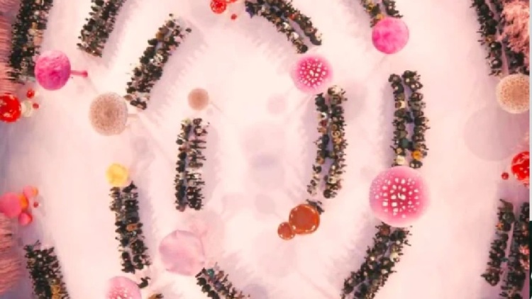 Στην Εβδομάδα Υψηλής Ραπτικής οι πασαρέλες μεταμορφώθηκαν σε αφηγηματικούς κόσμους
