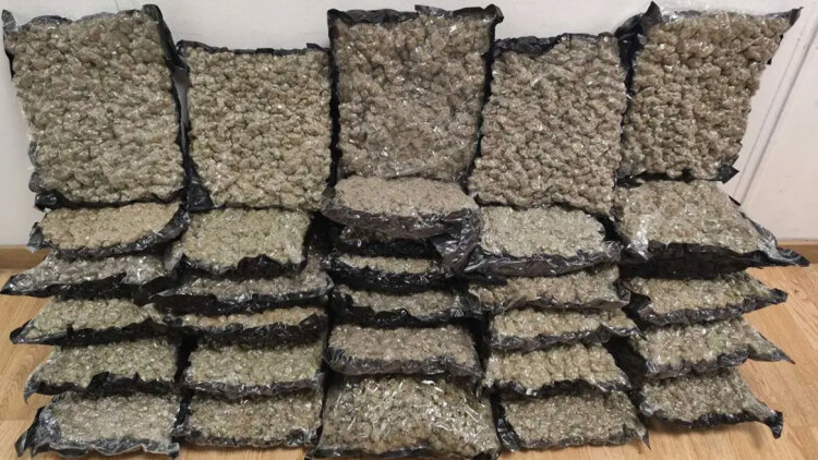 Συνελήφθη 45χρονος αλλοδαπός στο «Ελευθέριος Βενιζέλος» που επιχείρησε να εισάγει 32 κιλά ακατέργαστης κάνναβης