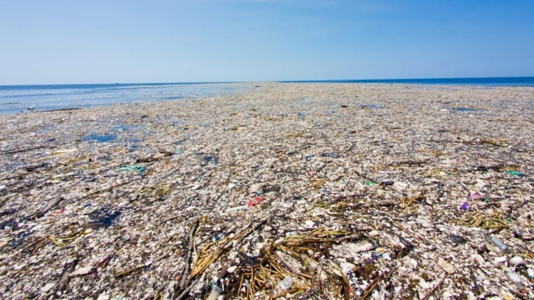 Το «νησί» που δεν θα έπρεπε να υπάρχει: Πώς τα σκουπίδια δημιούργησαν ένα επικίνδυνο οικοσύστημα στον Ειρηνικό Ωκεανό