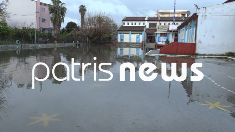 Σαρωτικό το πέρασμα της κακοκαιρίας στον Πύργο: Κλειστά σχολεία, δρόμοι ποτάμια και νεκρά ζώα στο Γούμερο, δείτε εικόνες