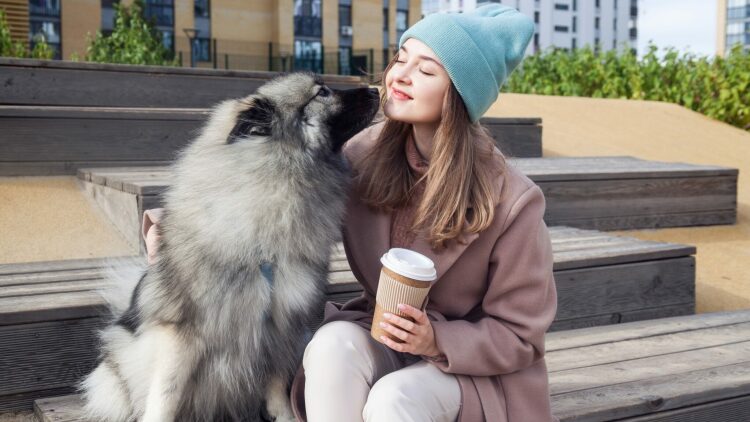 Τα μυστικά του σκύλου: Πώς επιλέγει τον αγαπημένο του άνθρωπο