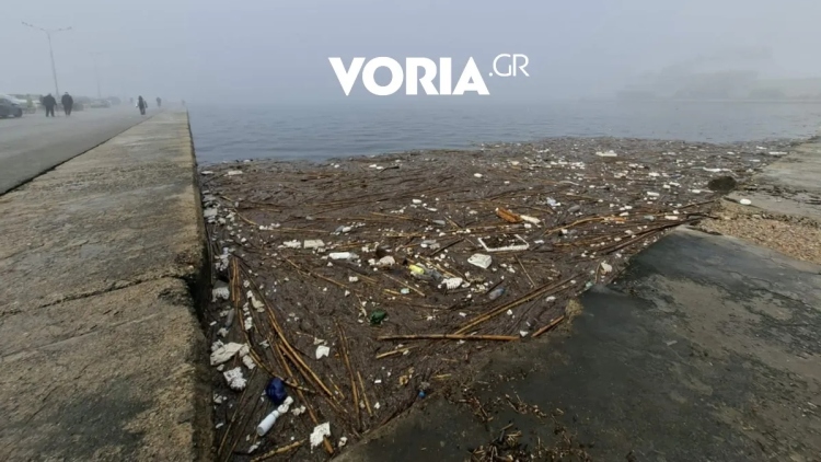 Θεσσαλονίκη: Θλιβερές εικόνες με πλαστικά, καλαμιές και φελιζόλ στον Θερμαϊκό 