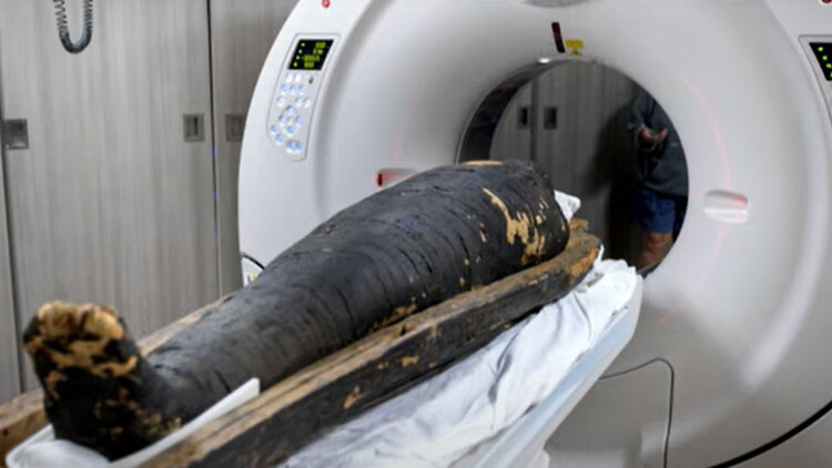 Αξονικές τομογραφίες αποκαλύπτουν τα πρόσωπα, τις ασθένειες και τα μυστικά δύο αιγυπτιακών μουμιών 2.000 ετών
