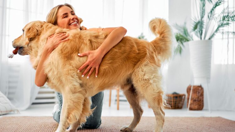 Τι νιώθει ο σκύλος μας όταν τον αγκαλιάζουμε