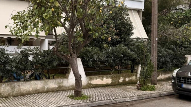 «Μαμά μου άνοιξε τα μάτια σου» φώναζε η 44χρονη: Συγκλονίζουν οι μαρτυρίες για την τραγωδία στην Ελευσίνα