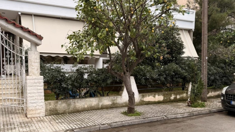 «Μέσα σε 3' έφυγε η πεθερά μου, η αιμορραγία ήταν ακατάσχετη»: Ο πρώην σύζυγος της οδηγού περιγράφει την τραγωδία στην Ελευσίνα
