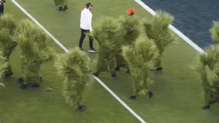 Super Bowl: Εβγαλαν πάνω από 1.300 δολάρια κάνοντας τους... θάμνους στο halftime show του Bad Bunny