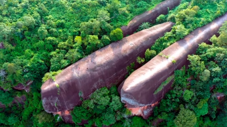Οι εντυπωσιακές τρεις «φάλαινες» της Ταϊλάνδης: Πώς σχηματίστηκαν βράχοι που μοιάζουν να... κολυμπούν μέσα στο δάσος