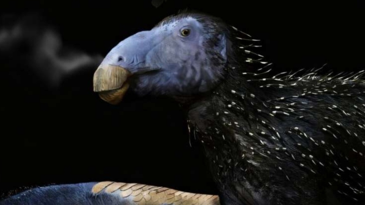 Ανακαλύφθηκε άγνωστο είδος δεινοσαύρου στην Κίνα: Εντοπίστηκε σχεδόν άθικτος σκελετός 125 εκατ. ετών