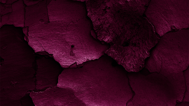 Τyrian Purple: Το πιο ακριβό χρώμα του κόσμου κοστίζει 4.000 δολάρια το γραμμάριο