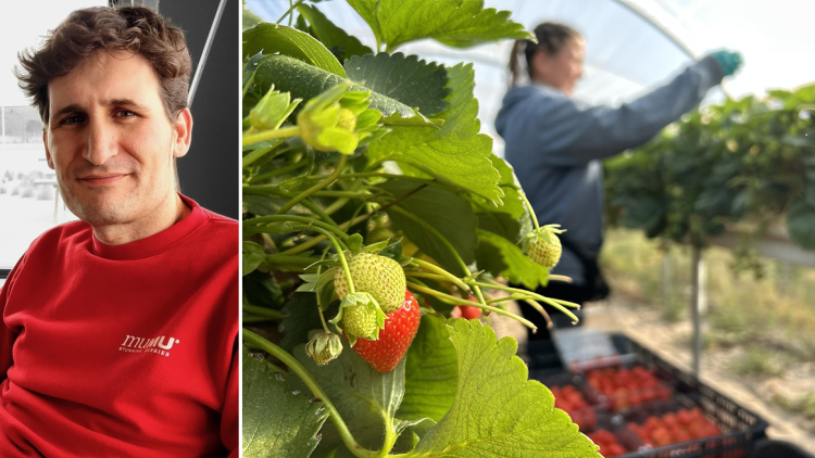 Ισπανική απόβαση στην Ηλεία: Η εξαγορά της Kyriazis από την El Pinar και τα σχέδια για επέκταση