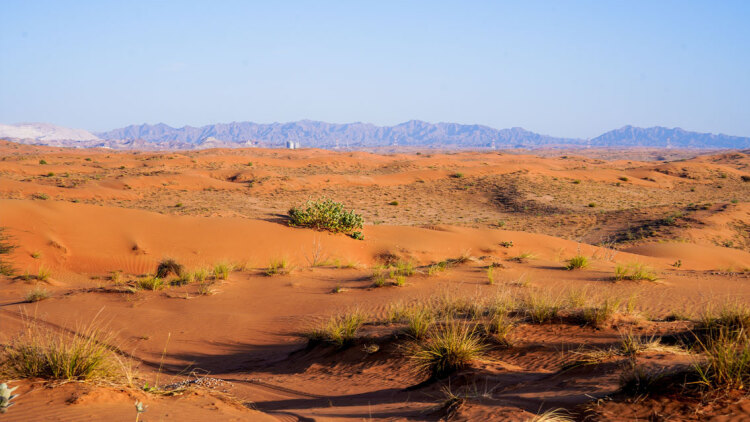 Γιατί ΗΑΕ και Σαουδική Αραβία εισάγουν εκατομμύρια τόνους άμμου ενώ «πνίγονται» από ερήμους