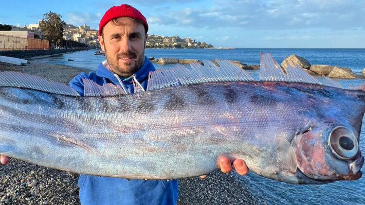Σπάνιο ψάρι ξεβράστηκε σε παραλία της Σικελίας, δείτε φωτογραφίες