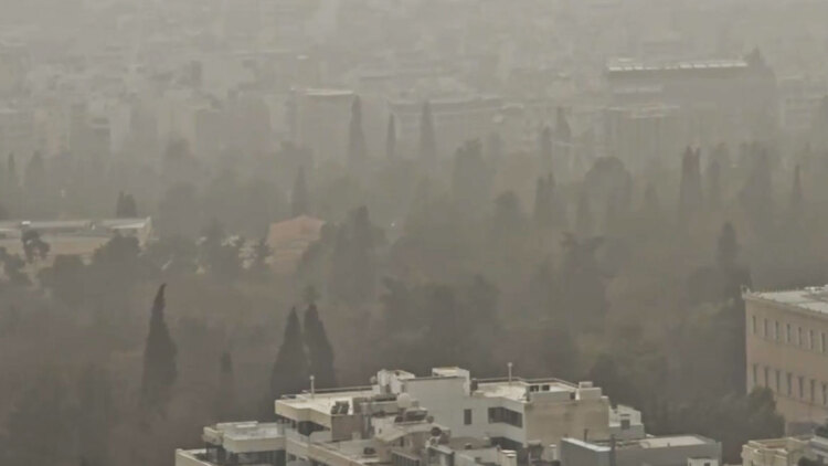 «Τροπικό δάσος» ο Εθνικός Κήπος λόγω της αφρικανικής σκόνης: Δείτε βίντεο 