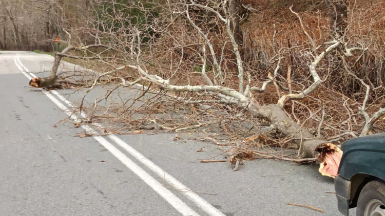 Προβλήματα στη Σαμοθράκη από τους ανέμους: Χωρίς ρεύμα μεγάλο μέρος του νησιού 