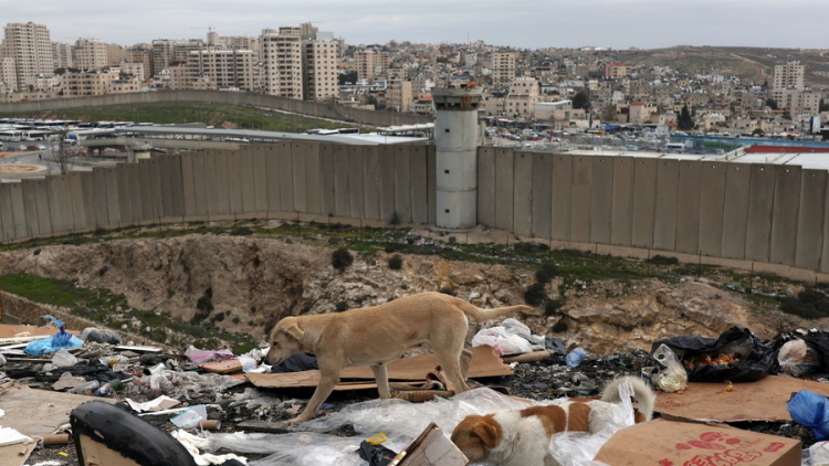 Δυτική Όχθη: Καταδίκες στον αραβικό κόσμο για τα ισραηλινά μέτρα που αφορούν τις αγορές γης