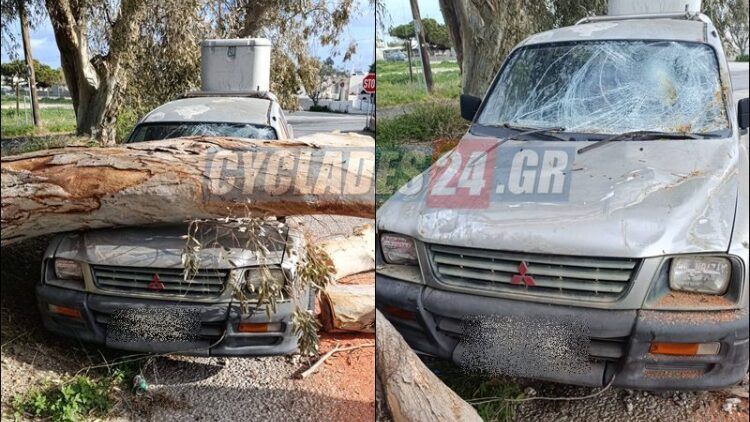 Μεγάλο δέντρο έπεσε σε σταθμευμένο αυτοκίνητο στο Καμάρι της Σαντορίνης
