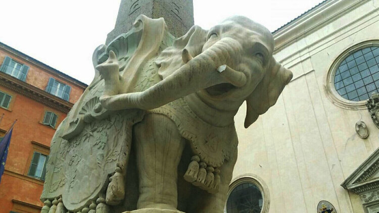 Βανδάλισαν ιστορικό γλυπτό στη Ρώμη: Άγνωστοι έσπασαν τον χαυλιόδοντα του «Μικρού Ελέφαντα», δείτε βίντεο