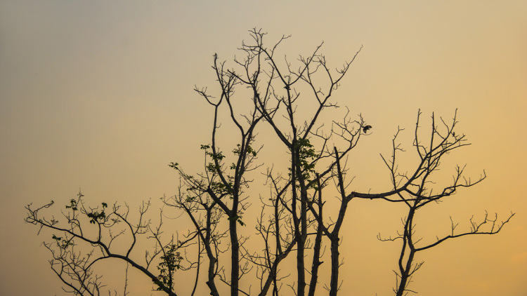 Τέλος στο «μίνι καλοκαίρι» του χειμώνα: Η La Nina επηρεάζει τις Αλκυονίδες ημέρες

