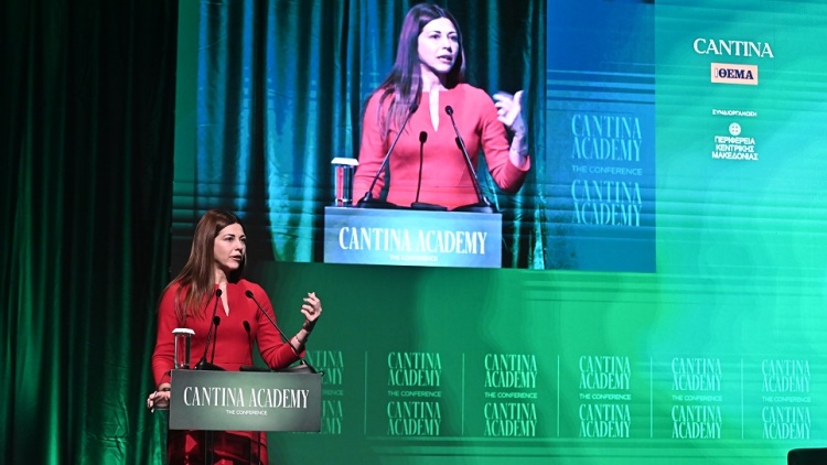 4ο Cantina Academy: Επαγγελματική Ακαδημία Γαστρονομίας στην Αρκαδία, Ειδικότητα Μαγειρικής Τέχνης στη Γεωργική Σχολή και International Business School στην Κω