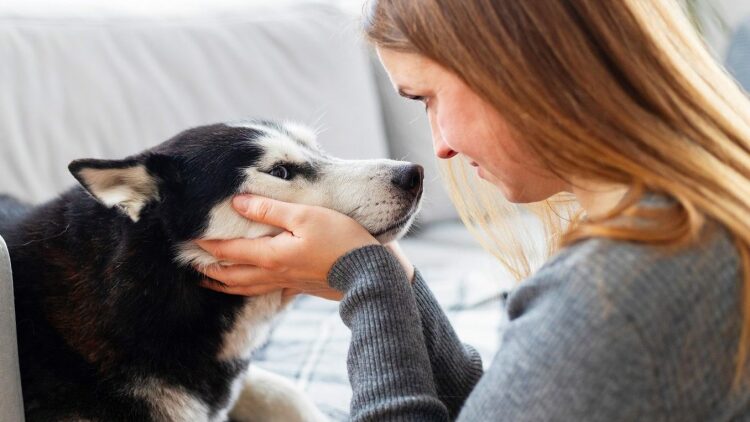 Αυτά θέλει να πει ο σκύλος μας όταν μας κοιτάζει έντονα στα μάτια