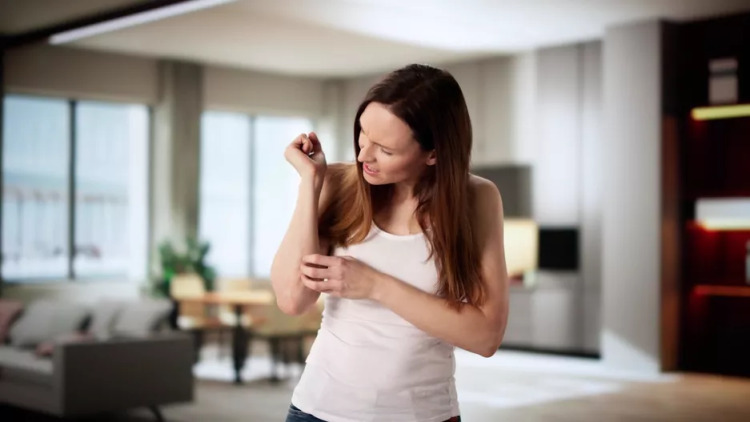 Ιός τσικουνγκούνια: Μεταδίδεται και στους 14°C – Αυξάνει ο κίνδυνος για την Ευρώπη
