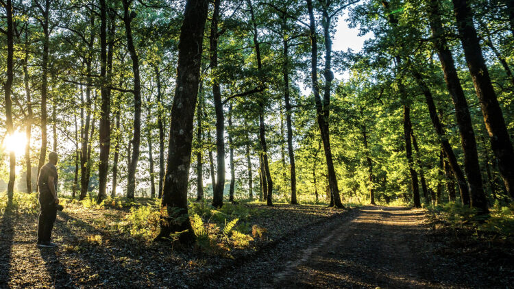
4 εκδρομές για την Καθαρά Δευτέρα, σε διαχρονικούς προορισμούς κοντά στην Αθήνα
