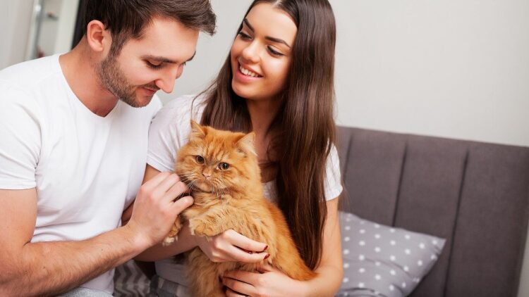 3 τρόποι με τους οποίους τα κατοικίδια μπορεί να βελτιώσουν την ερωτική μας ζωή