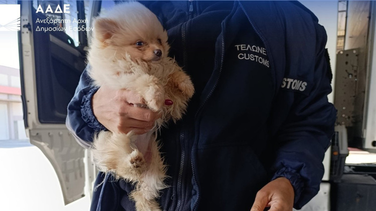 Ναρκωτικά, λαθραία τσιγάρα, αδήλωτο συνάλλαγμα σε μετρητά και… ρούβλια εντόπισε ο Έλβις για την ΑΑΔΕ