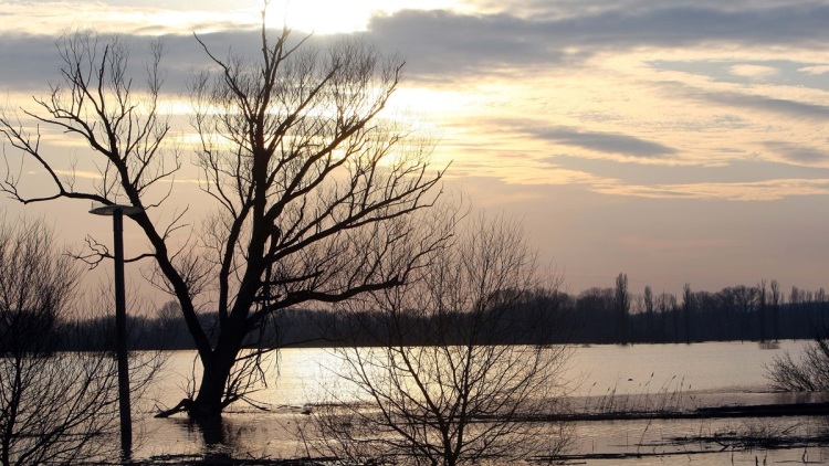 Σε Red Code ξανά ο Έβρος λόγω κινδύνου για πλημμύρες: Έσπασε κύριο ανάχωμα του ποταμού στην Κορνοφωλιά